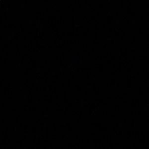 Meet your Posher, Sophie